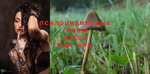 круглые Алексин
