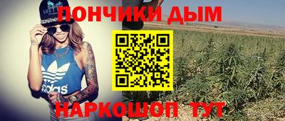 индика Кулебаки