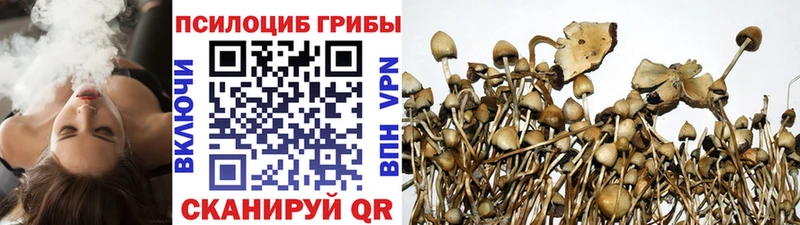 Псилоцибиновые грибы MAGIC MUSHROOMS  omg ссылки  Барабинск 