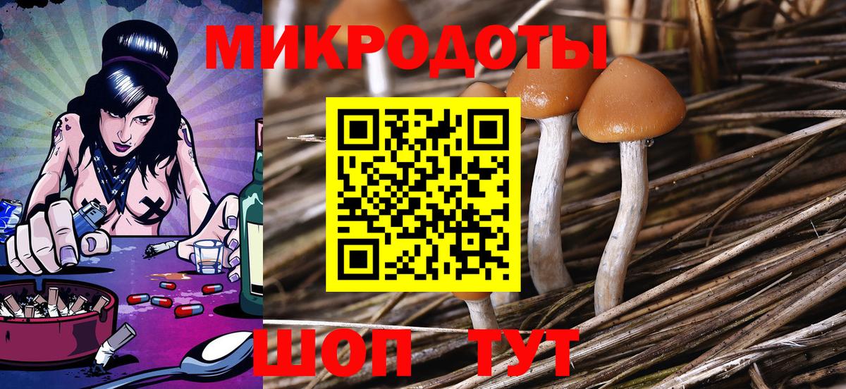 Псилоцибиновые грибы Psilocybine cubensis  Вход с VPN  Барабинск 